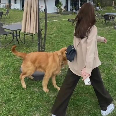 吸血鬼仆人 海报