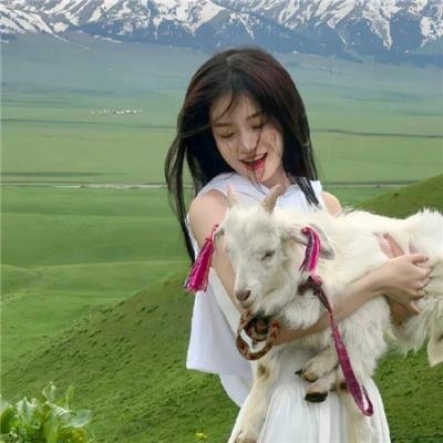 沙漠奇兵 海报